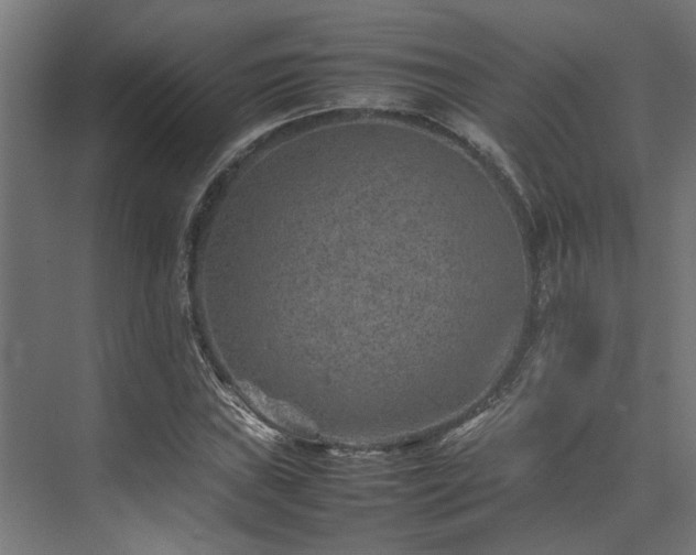 X0000074291019200608251339