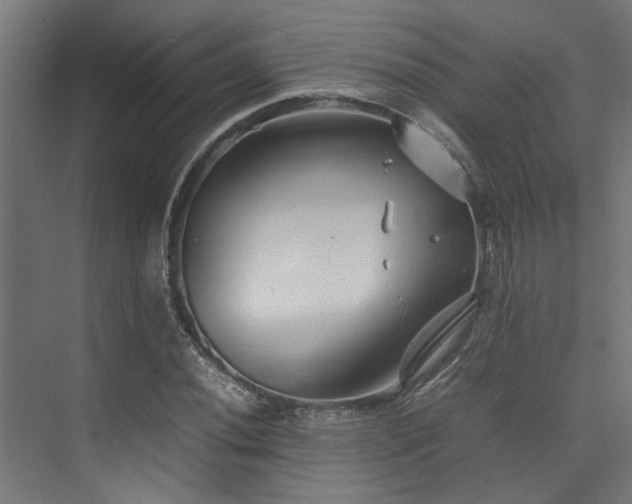 X0000074291020200608251339