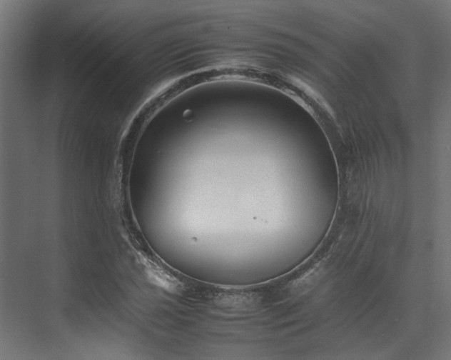 X0000074291021200608251339