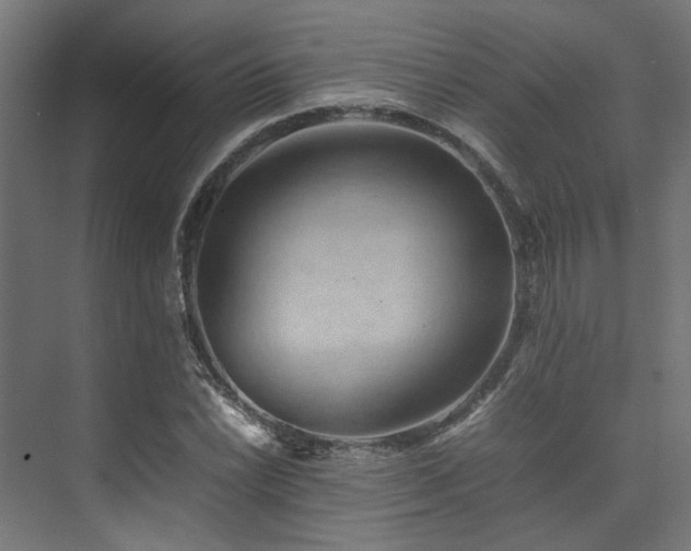 X0000074291022200608251339