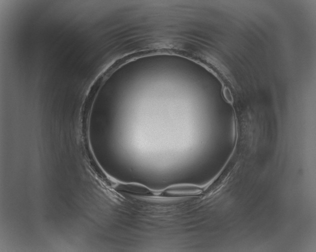 X0000074291023200608251339