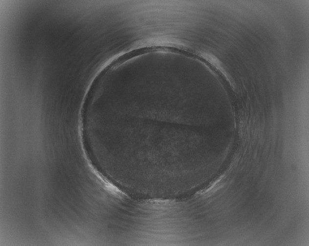 X0000074291024200608251339