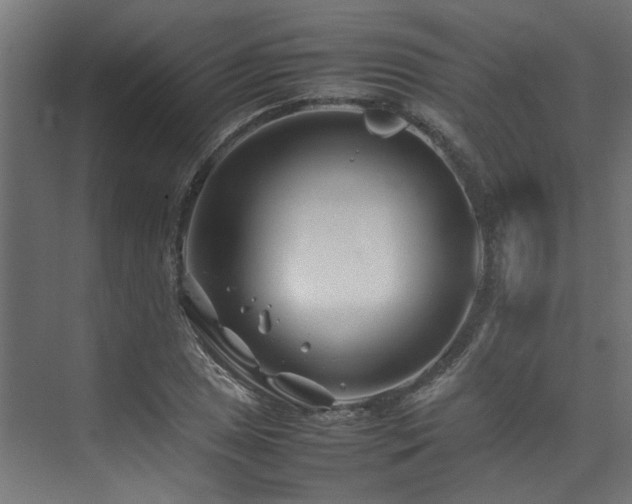 X0000074291025200608251339