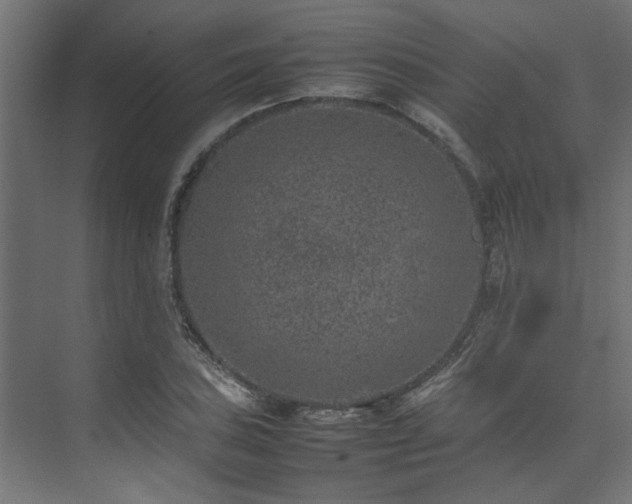 X0000074291027200608251339