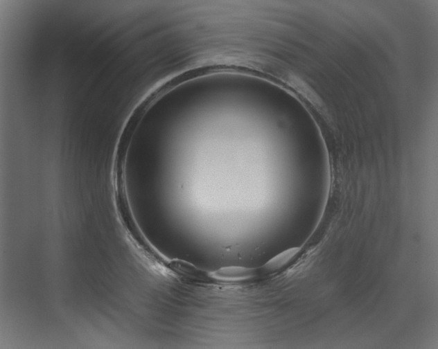 X0000074291028200608251339