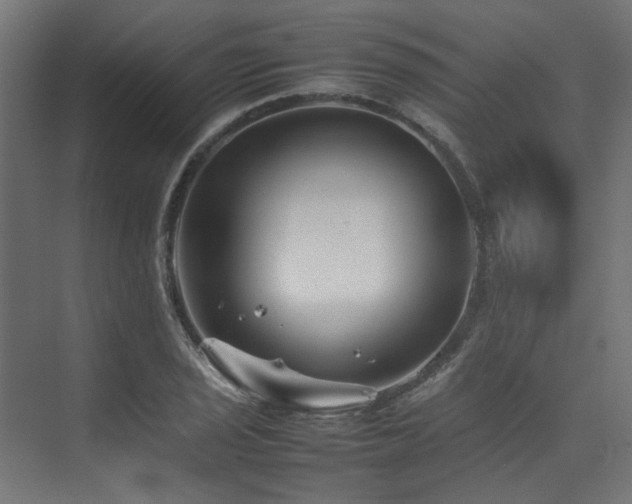 X0000074291029200608251339