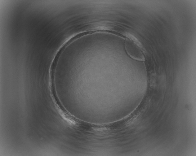 X0000074291031200608251339