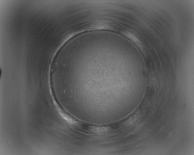 X0000074291039200608251339