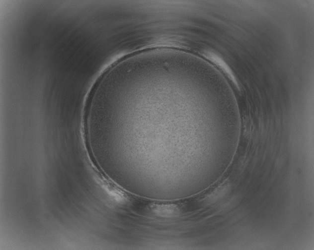 X0000074291043200608251339