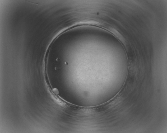 X0000074291044200608251339