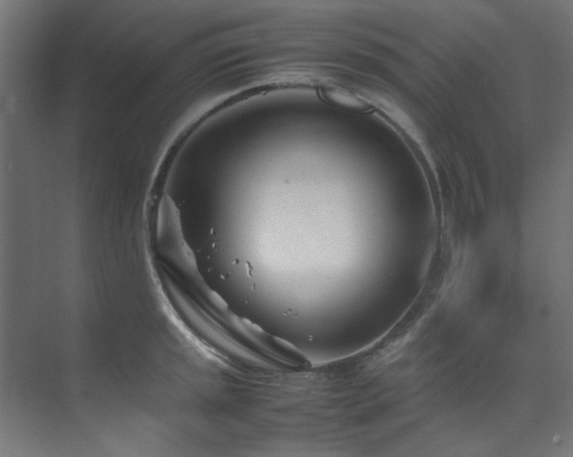 X0000074291045200608251339