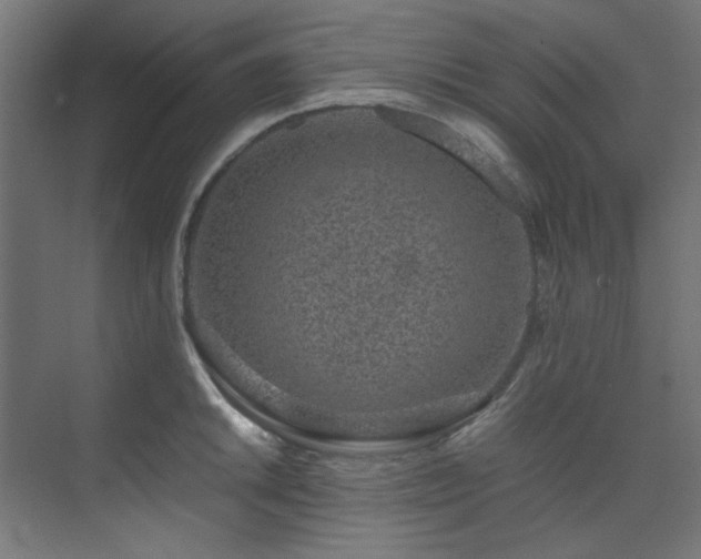 X0000074291046200608251339