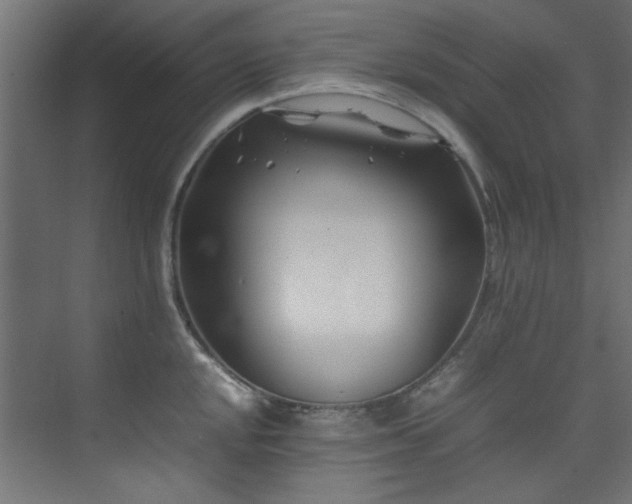 X0000074291048200608251339