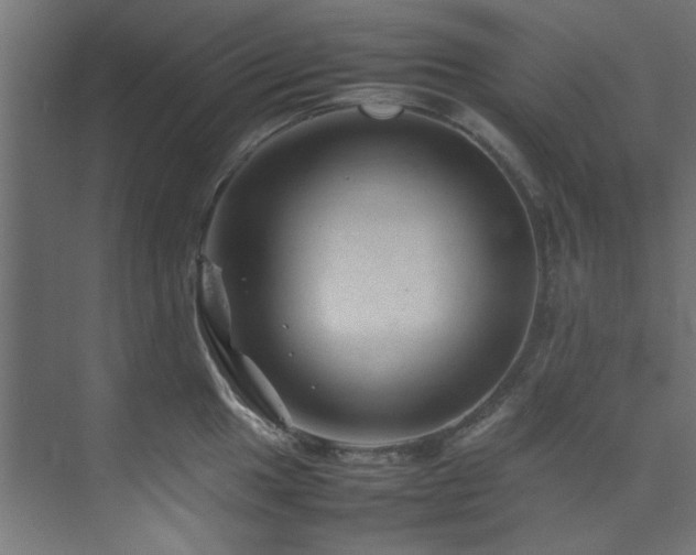 X0000074291049200608251339