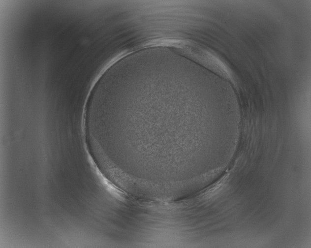 X0000074291050200608251339