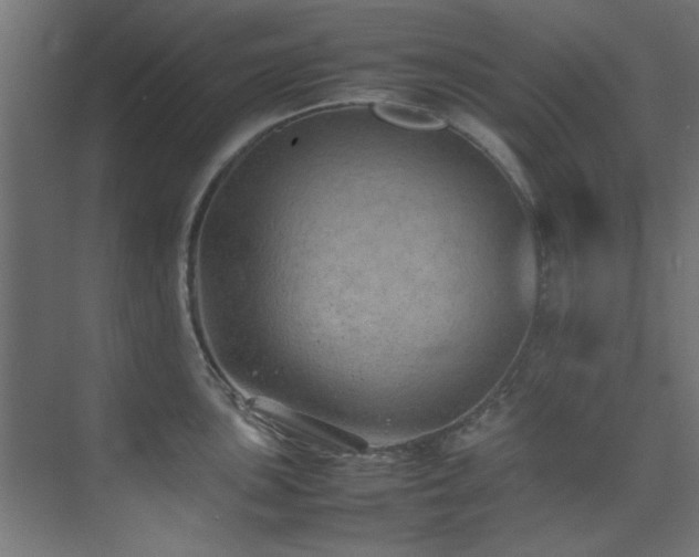 X0000074291051200608251339