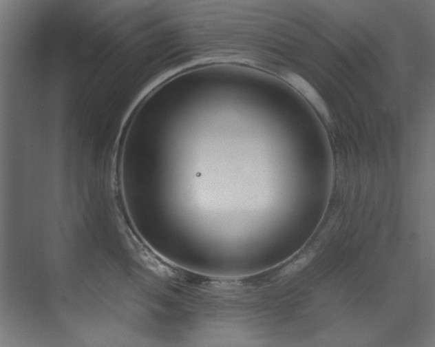 X0000074291052200608251339