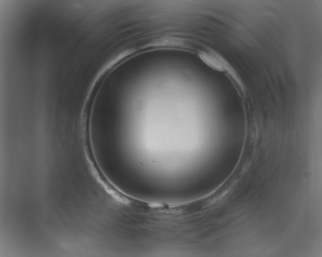 X0000074291053200608251339