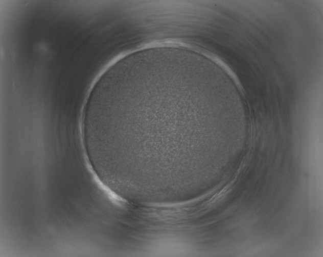 X0000074291054200608251339