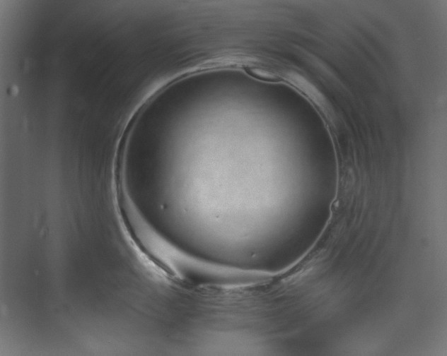 X0000074291055200608251339