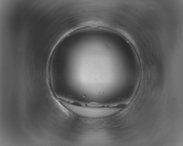 X0000074291056200608251339