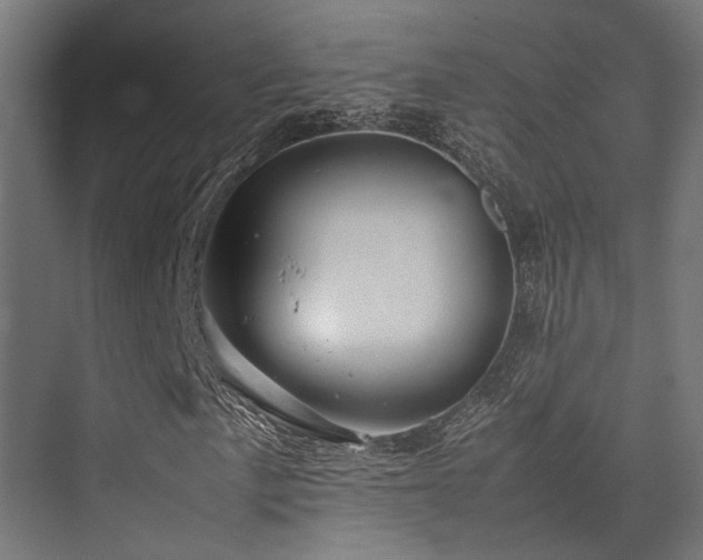 X0000074291057200608251338