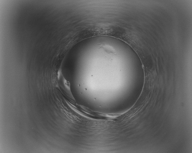 X0000074291058200608251338