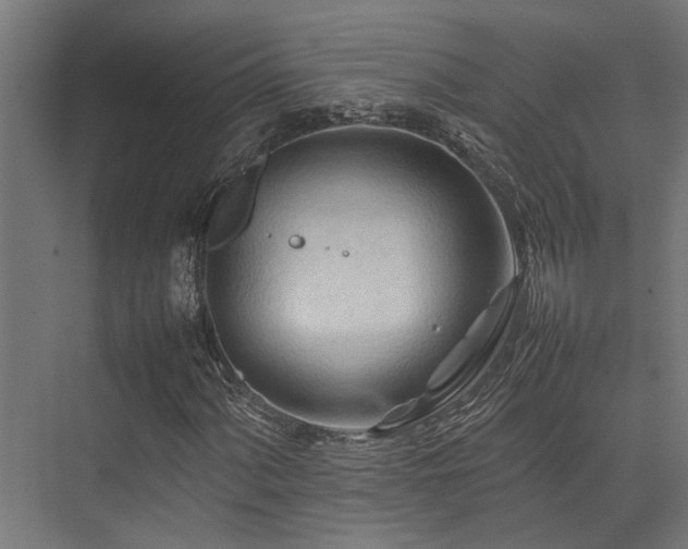 X0000074291060200608251338