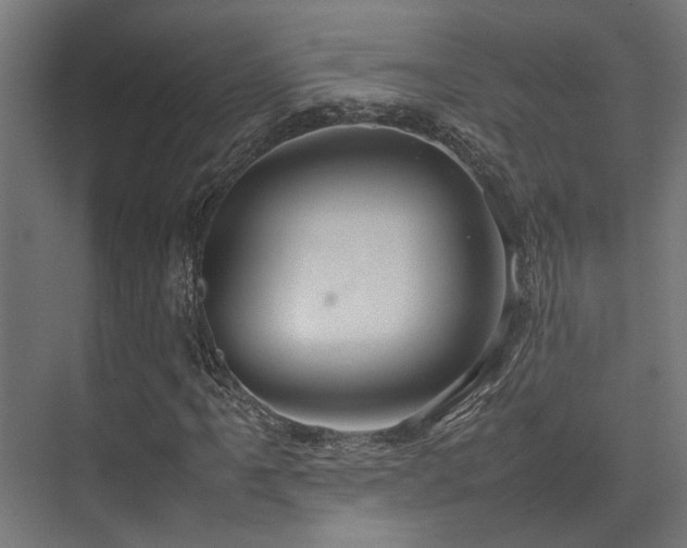 X0000074291061200608251338