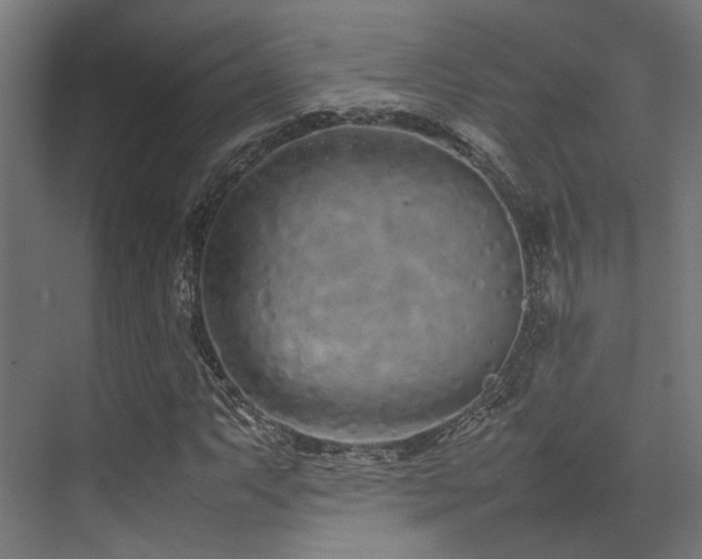 X0000074291063200608251338