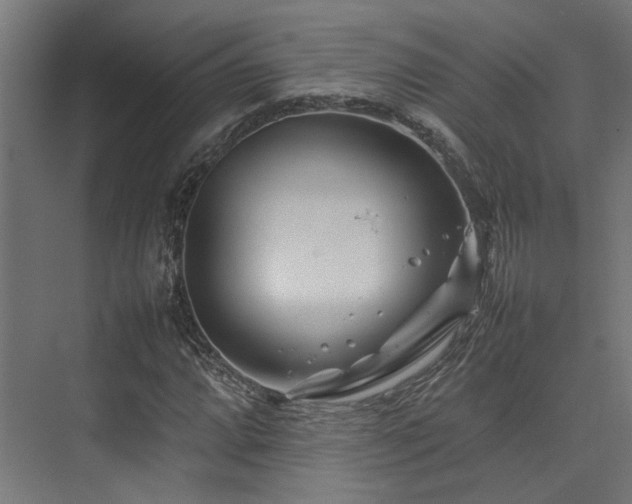 X0000074291064200608251338