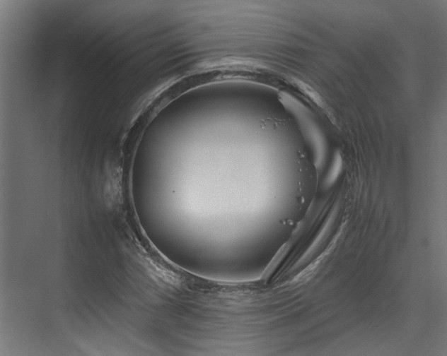 X0000074291066200608251338