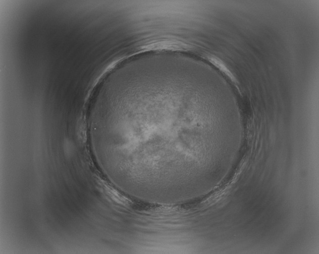 X0000074291067200608251338