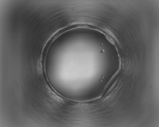 X0000074291068200608251338