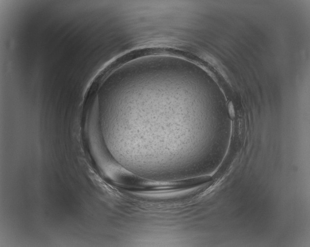 X0000074291069200608251338