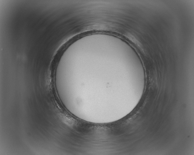 X0000074291070200608251338