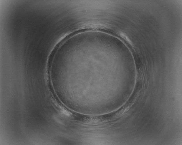 X0000074291071200608251338