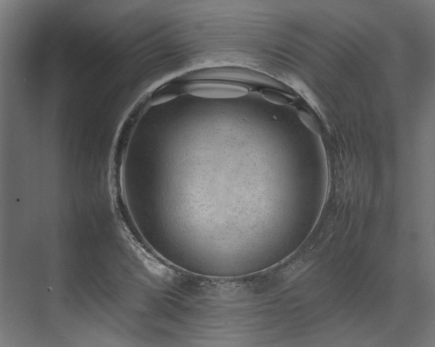 X0000074291072200608251338