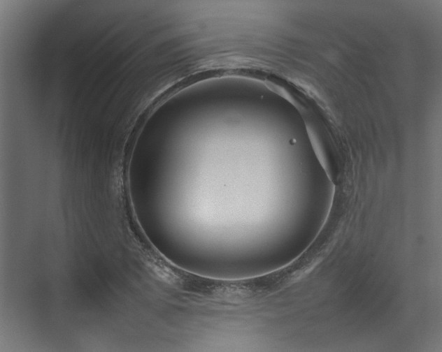 X0000074291073200608251338