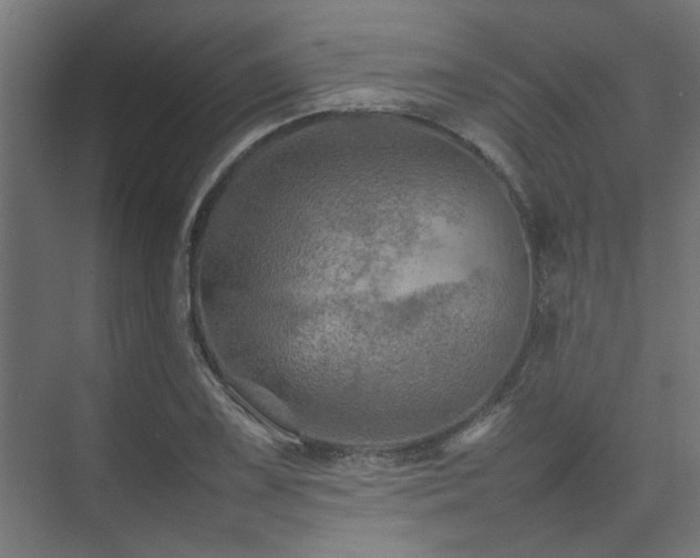 X0000074291075200608251338