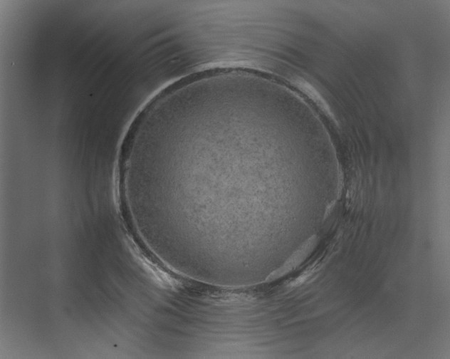 X0000074291076200608251338