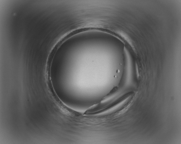 X0000074291077200608251338