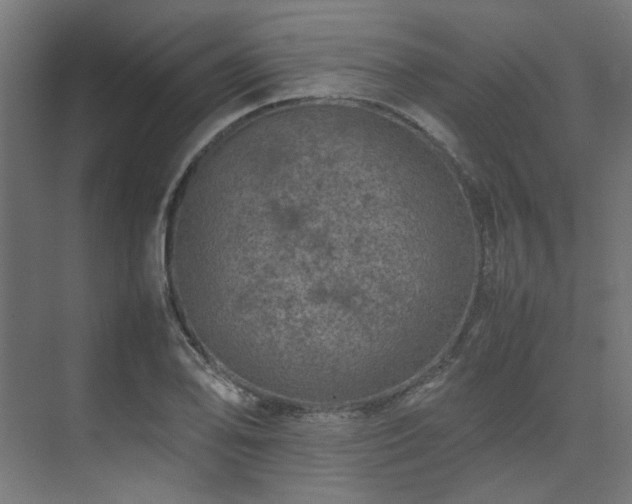 X0000074291078200608251338