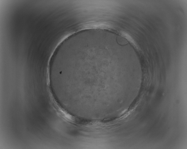 X0000074291079200608251338