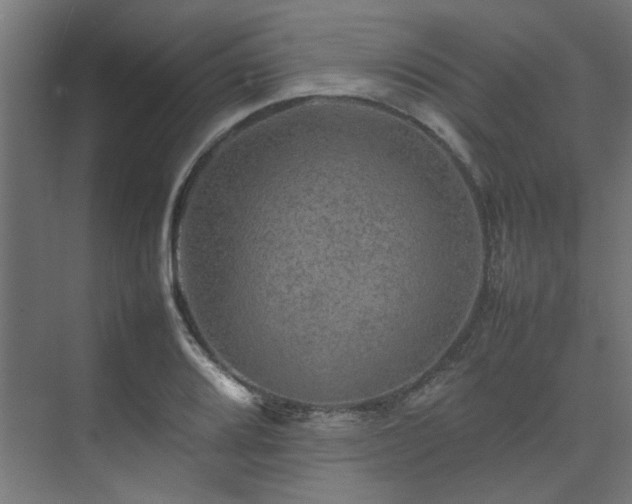 X0000074291080200608251338