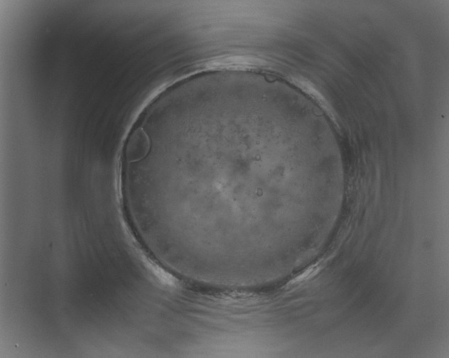 X0000074291083200608251338