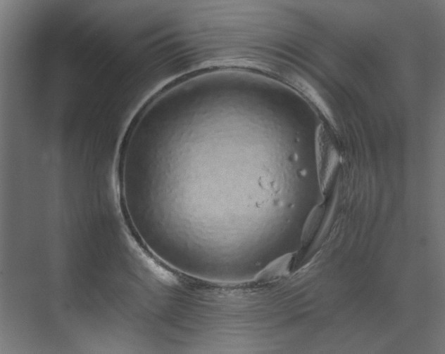 X0000074291084200608251338