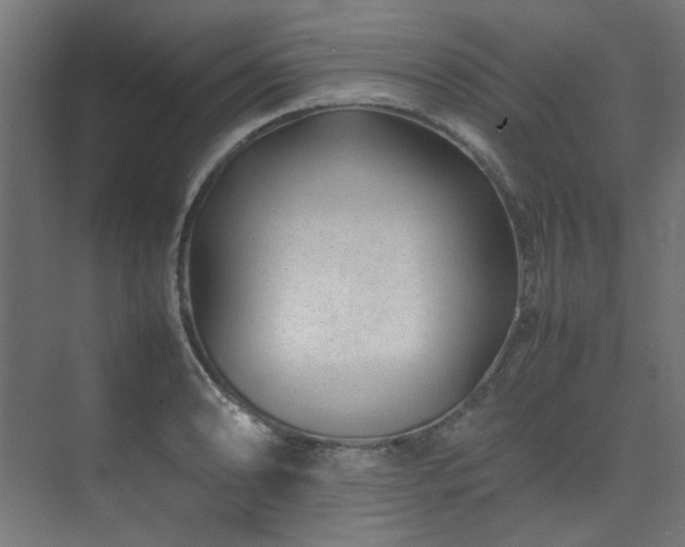 X0000074291086200608251338