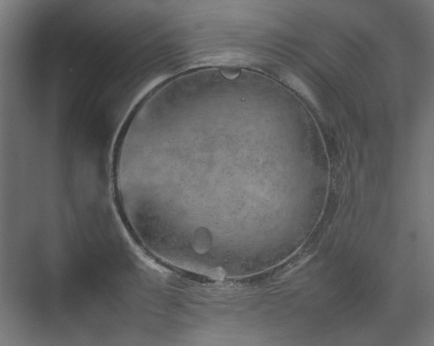 X0000074291087200608251338