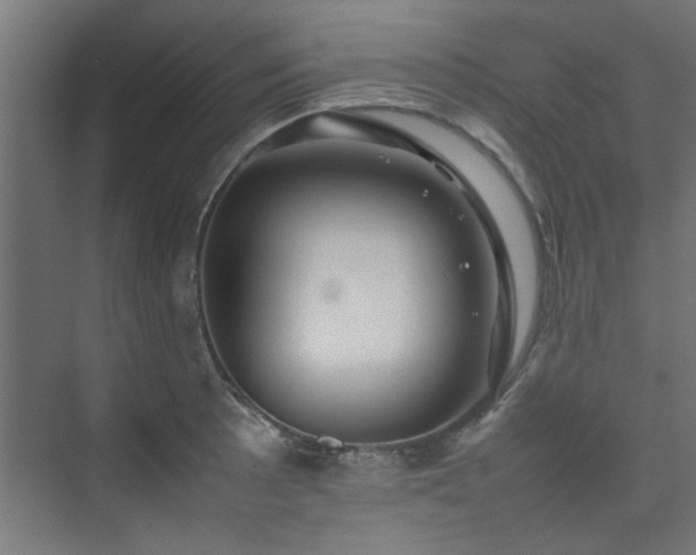 X0000074291089200608251338